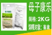 极速时代母子康乐