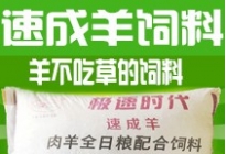 速成羊全日料