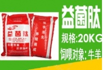 极速益菌肽