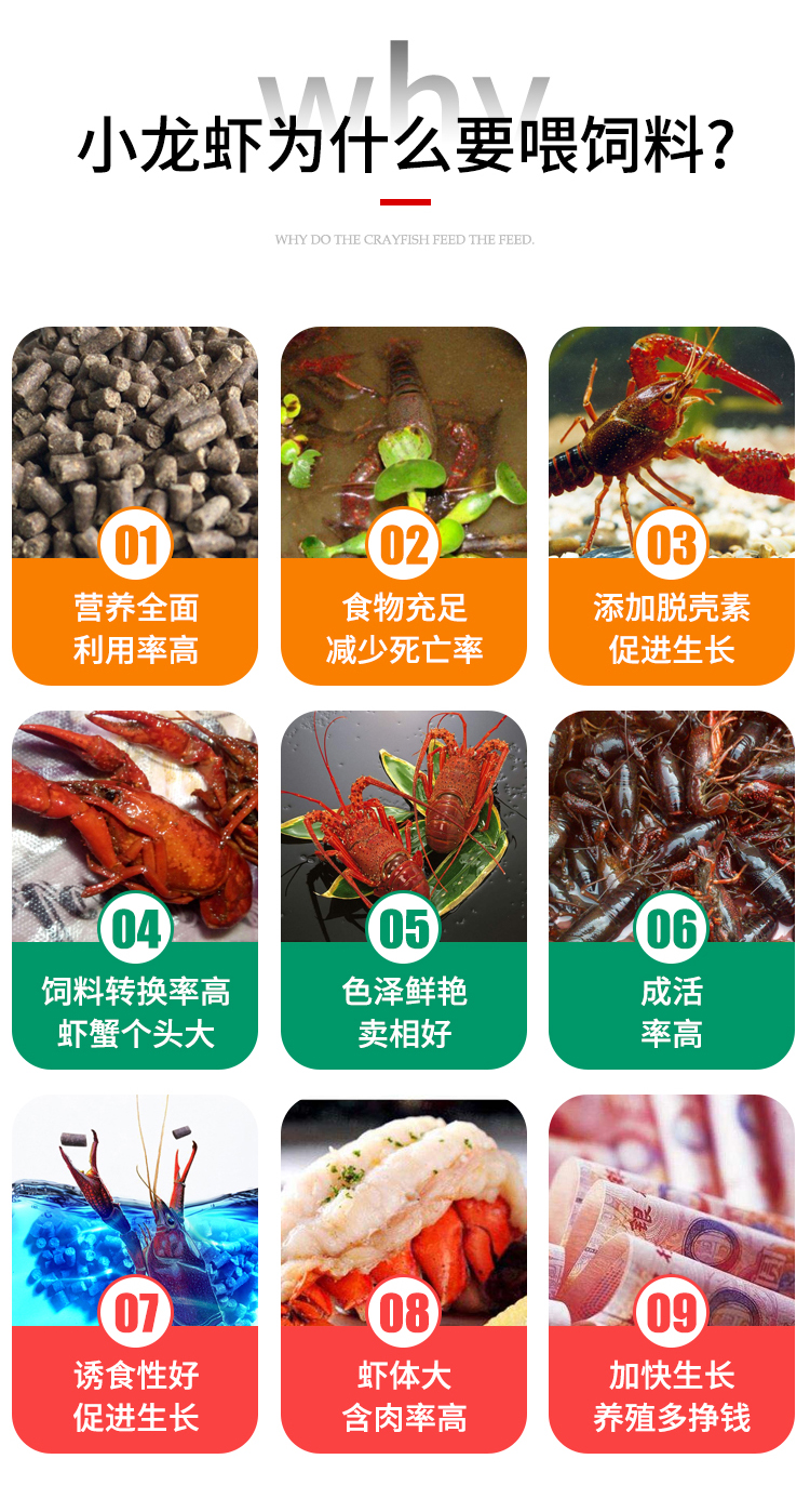 小龙虾饲料(图13)
