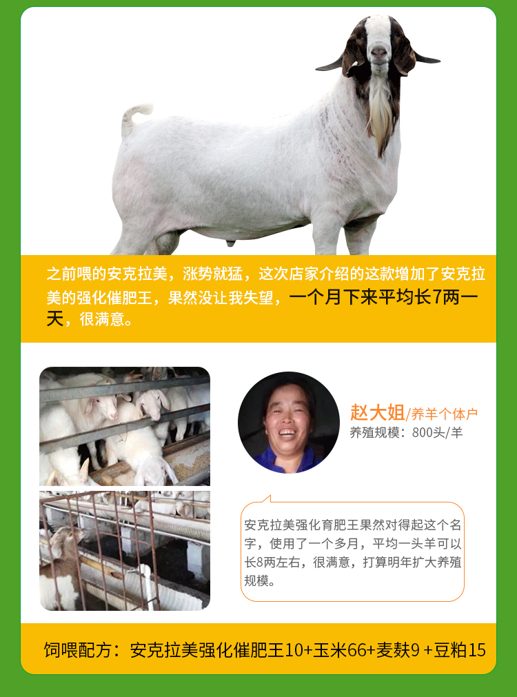 10%牛羊复合预混料(图7)