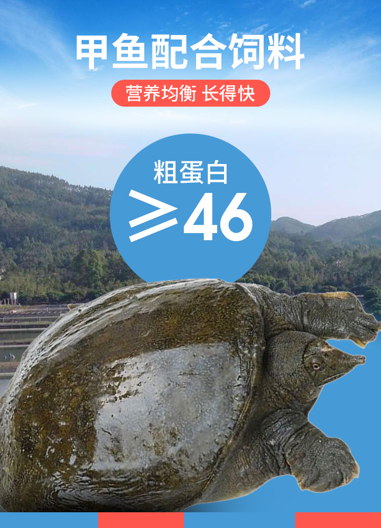 极速甲鱼饲料(图1)