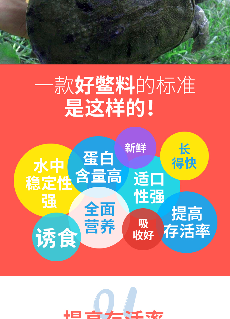 极速甲鱼饲料(图6)