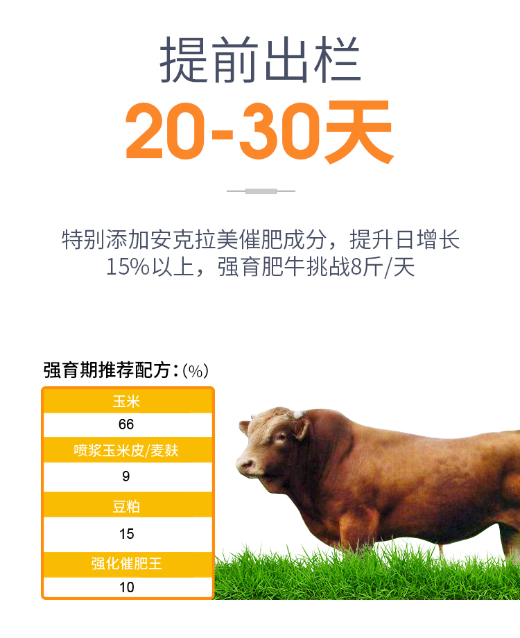 10%牛羊复合预混料(图4)