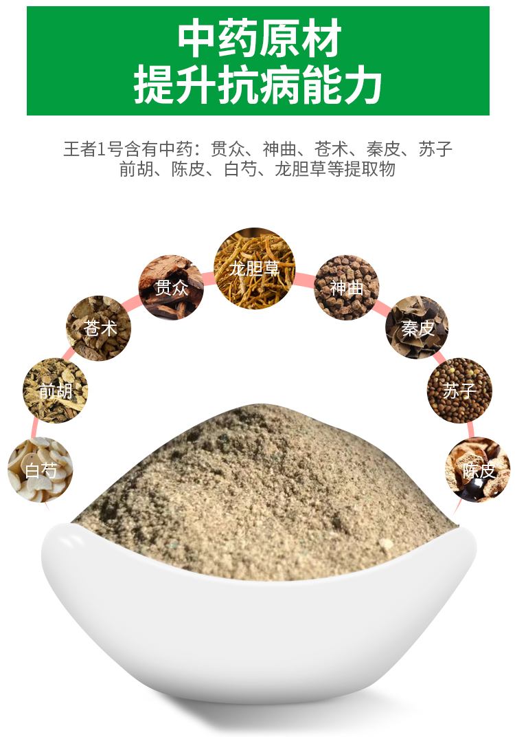 安克拉美-王者一号(图5)