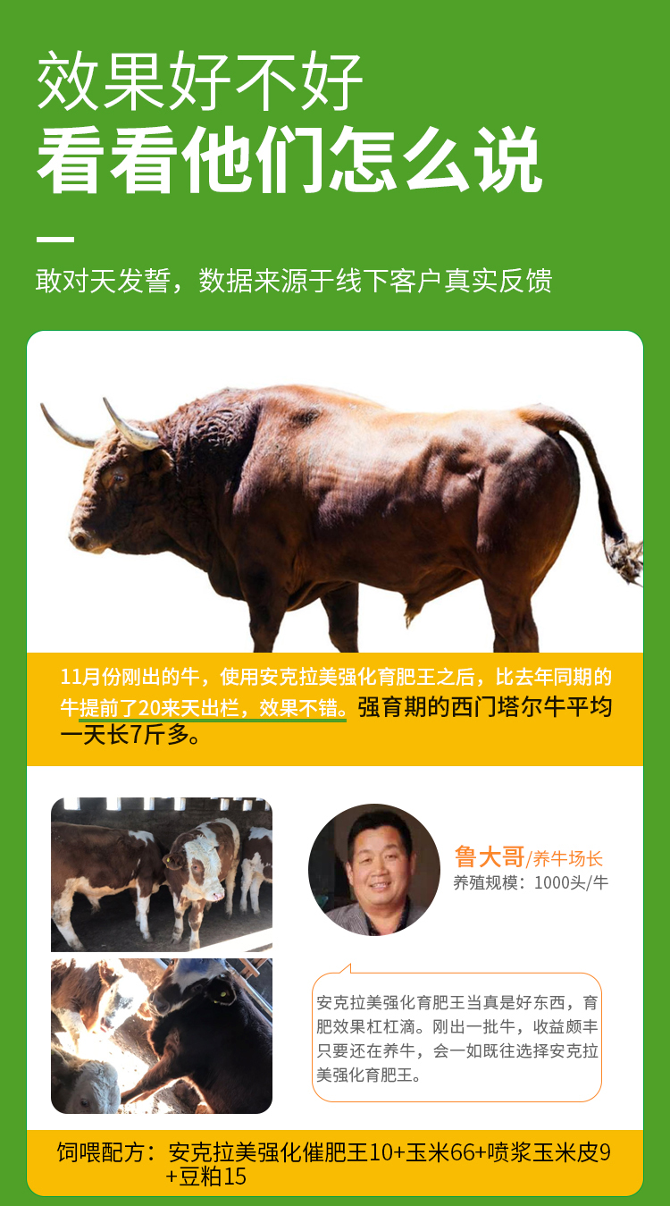 10%牛羊复合预混料(图6)