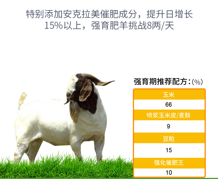 10%牛羊复合预混料(图5)