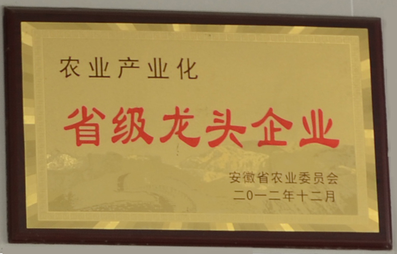 1-1ZZ4160123F2.jpg